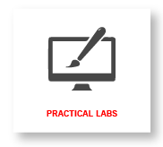 Institute with Practical Labs